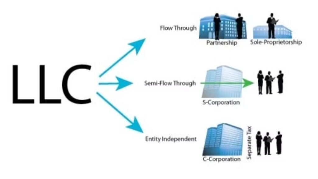 limited liability corporation